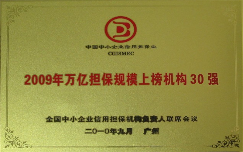 2009年萬億擔保規模上(shàng)榜機構30強