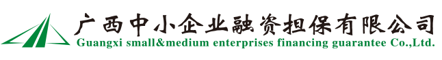 桂林市中小企業融資性擔保有限責任公司